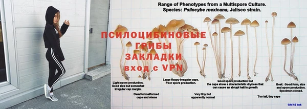 MDMA Premium VHQ Белокуриха